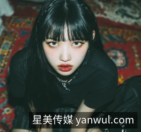 公司概览